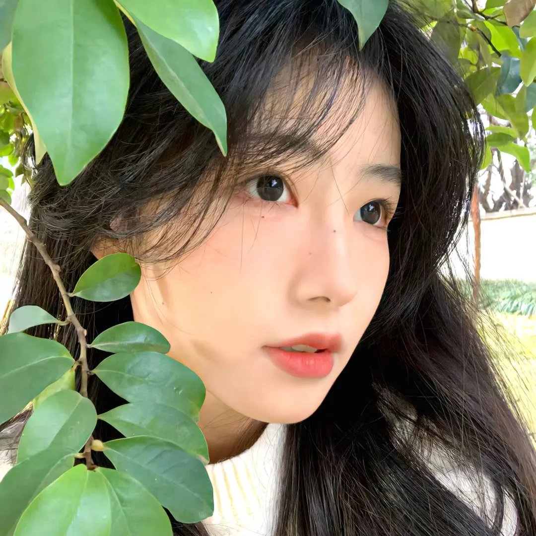我的天才女友第一季