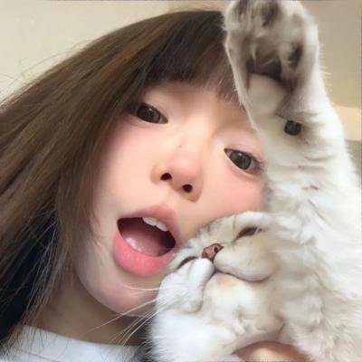 陆行鲨